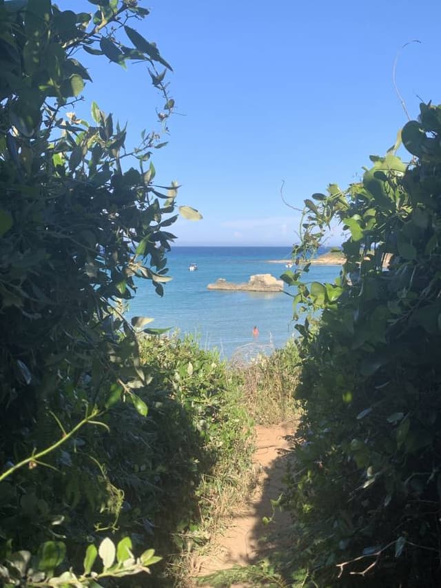 Foto 4 di Silvestro S. sul noleggio di una Fiat Panda a Brindisi (08/06/25)