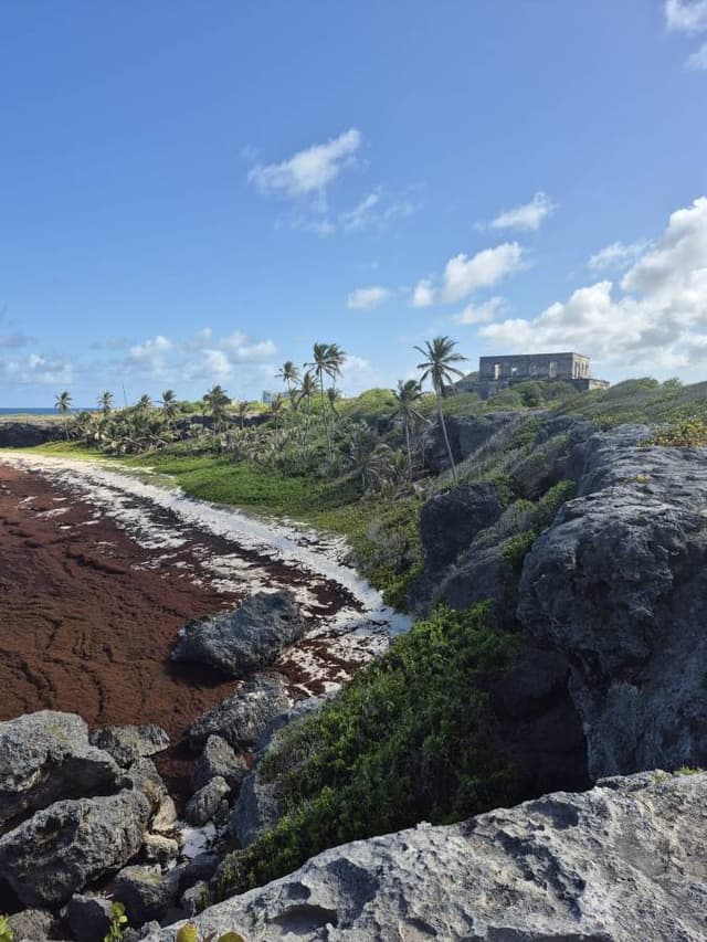 Photo 3 by Rachele G. about hiring a Suzuki Swift in Barbados (23.07.25)