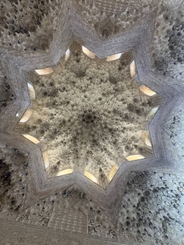 Photo 5 by Leslie S. (5/22/25)