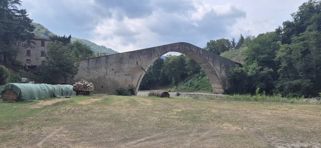 Foto 3 van Arne V. (22-8-25)