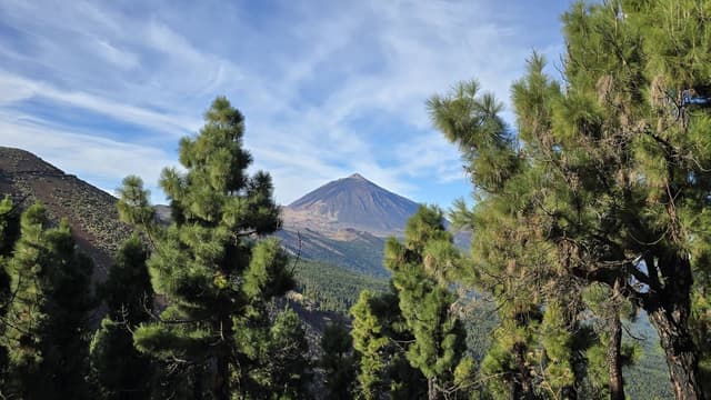 Fotografia 15 realizată de Cristina M. (06.12.25)