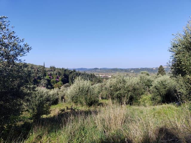 Photo 3 by Dominic E. about hiring a Fiat Panda in Corfu (21.04.23)