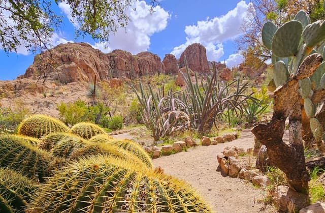 Photo 6 by SAIFUL B. (4/14/25)