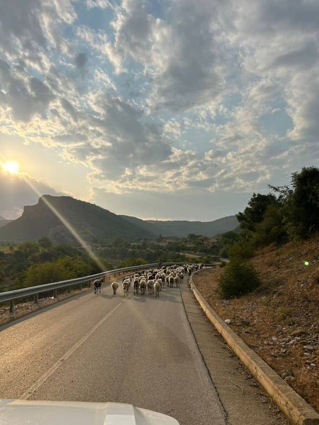 Photo 6 par Jean Paul S. sur la location d'un Kia Stonic en Albanie (23/07/25)