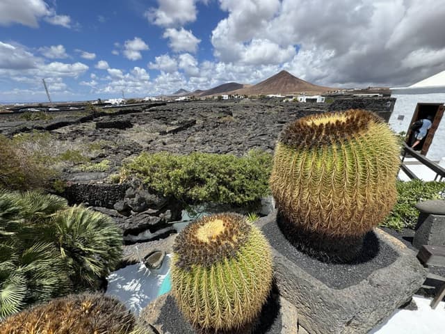Foto 4 di Andrea T. sul noleggio di una Toyota Aygo in Spagna - alle Isole Canarie (04/05/24)