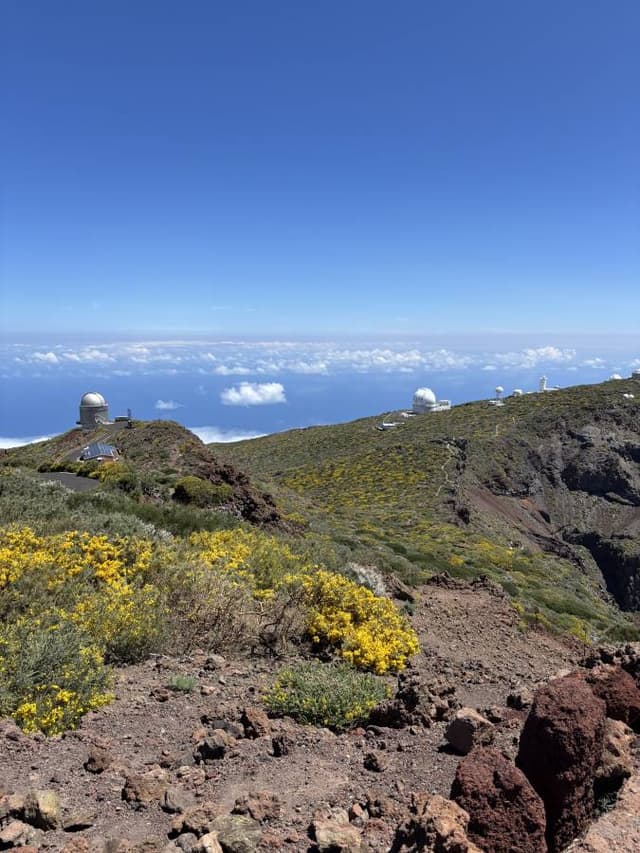 Zdjęcie 8 wykonane przez Robert D. (18.06.25)