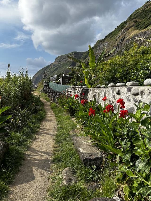 Billede 3 af Tom Ferdinand J. (14.9.23)