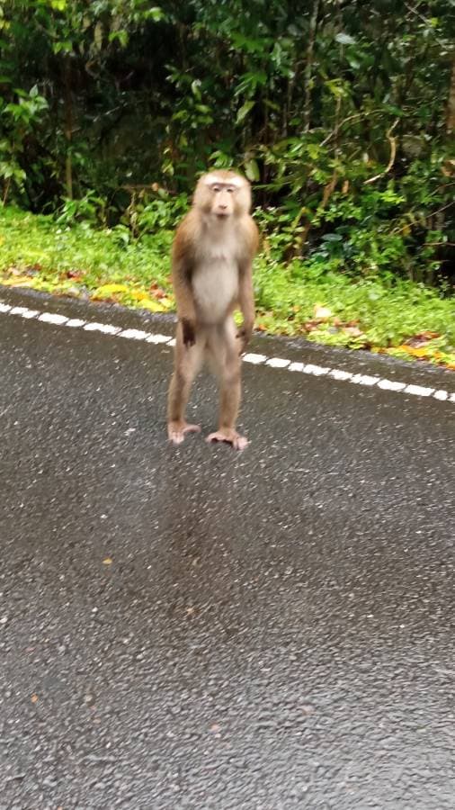 Foto 7 de MARIA LORETO M. (16/10/23)