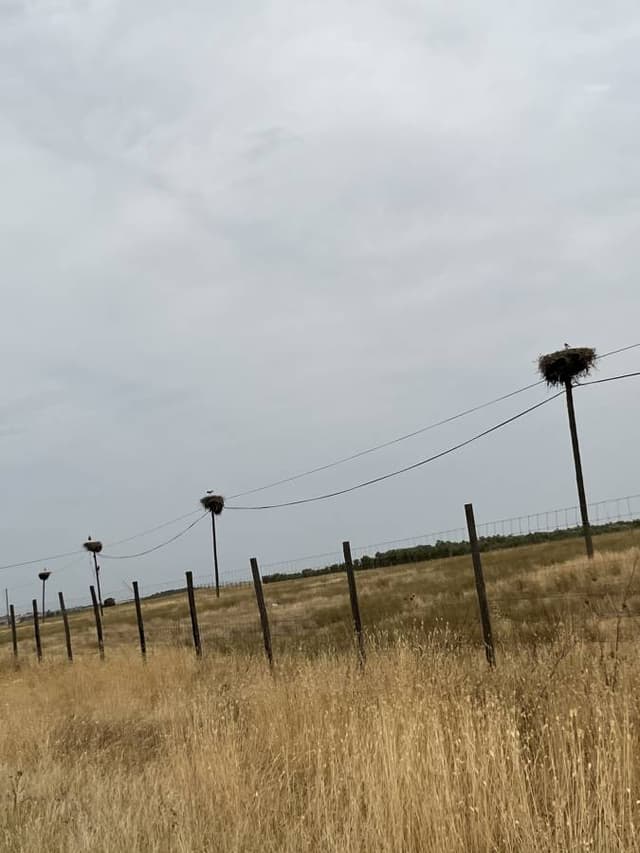 Photo 2 by Liberto D. about hiring a Kia Stonic at Faro Airport (10/07/26)