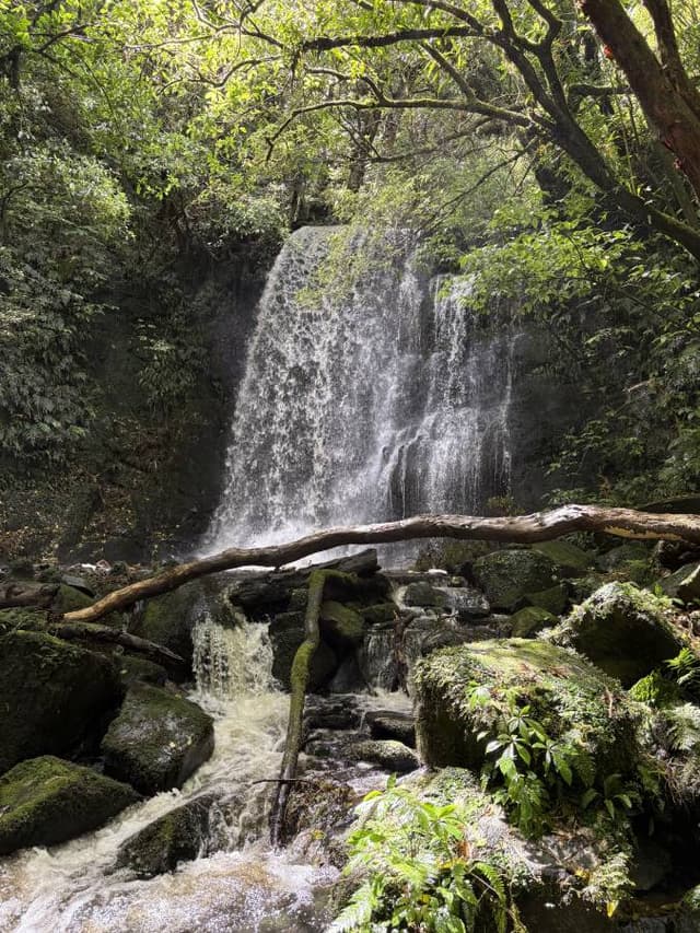 Photo 3 by Albert Cornelis K. (12/24/25)