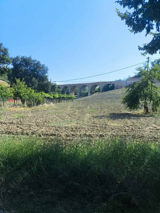 Photo 4 by Daina B. (6/26/26)