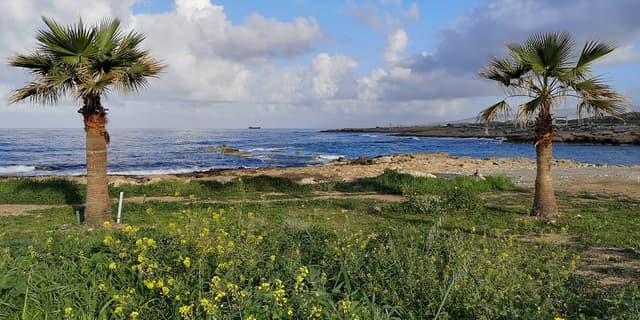 Zdjęcie 7 wykonane przez Tomasz Z. dotyczące wynajmu Kia Picanto w na Lotnisku w Pafos dnia (11.03.24)