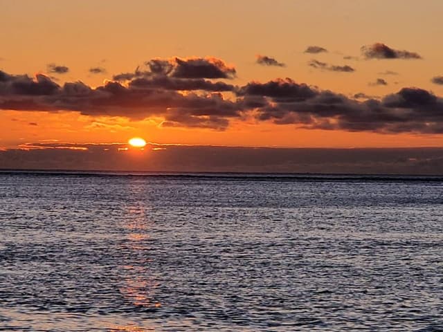 Photo 4 by Razvan Claudiu I. about renting a Suzuki S-Presso in Mauritius (11/16/24)