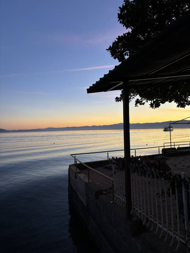 Photo 8 by Anne Marie R. (11/6/25)