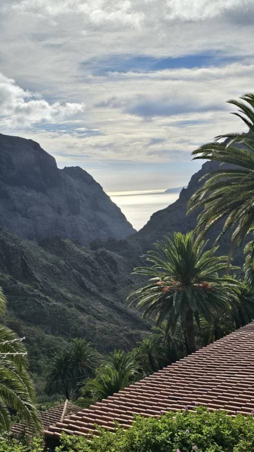 Fotografia 16 realizată de Cristina M. (06.12.25)