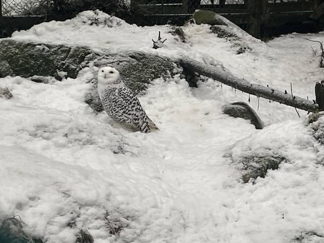 Foto 7 di CORNEL P. (06/12/25)