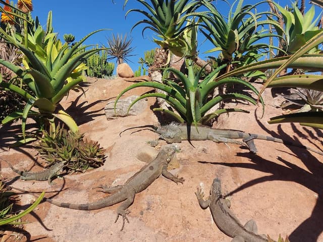 Photo 3 par abdel H. (14/12/24)