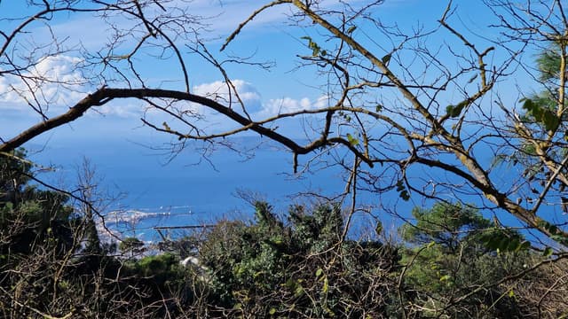 Zdjęcie 9 wykonane przez Wojciech M. (26.11.23)