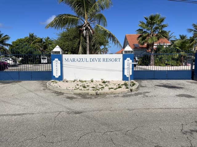 Photo by THOMAS B. (10/23/22)