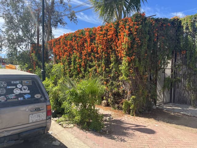 Photo 5 by Adrian P. (3/12/26)