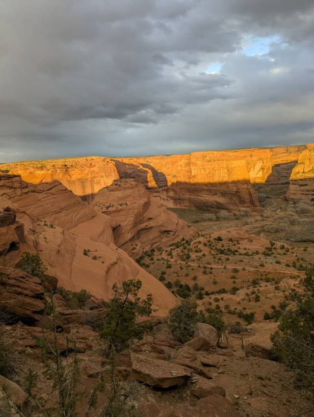 Photo 3 by kelly H. (3/11/26)