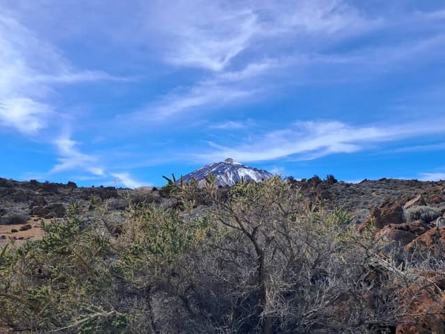 Foto 15 di PAOLO T. (14/02/26)