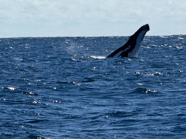 Photo 4 by Helen T. about hiring a Mitsubishi Outlander at Perth Airport (23/07/24)
