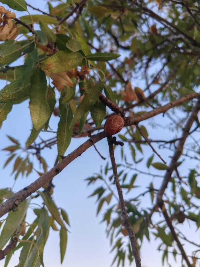 Photo 6 by Mohammad H. (8/13/26)