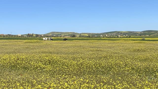 Photo 4 par BAKAOUIYA M. (11/04/26)