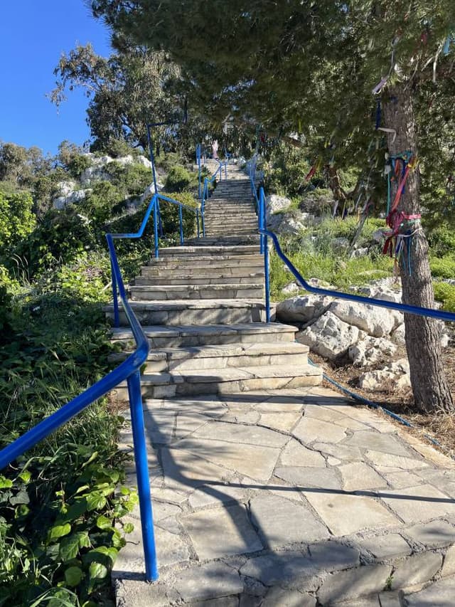 Photo 8 by Michelle M. (4/10/26)