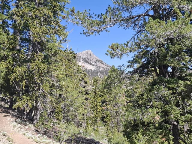 Photo 4 by Lindberg G. (6/20/26)
