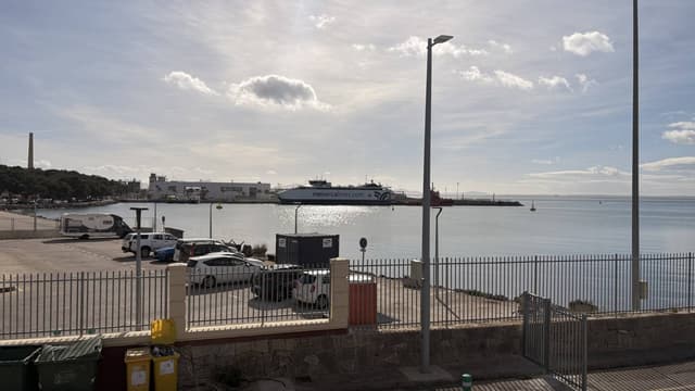 Foto 5 van revelino F. (20-2-26)