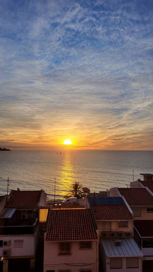 Photo 6 by Hardenberg V. (2/11/26)