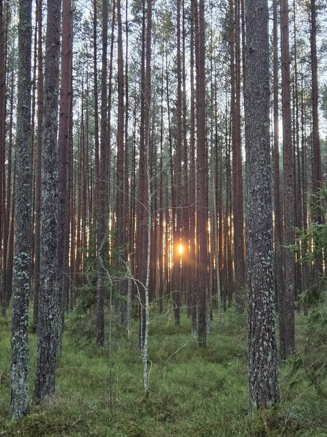 Photo 6 by Yuhwan K. (12/28/25)