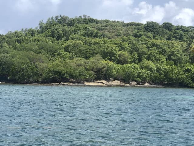 Photo 6 par Yvelise M. (21/09/25)