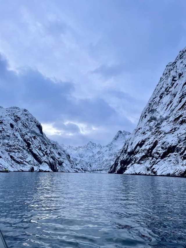 Photo 4 by Luca M. (11/4/24)