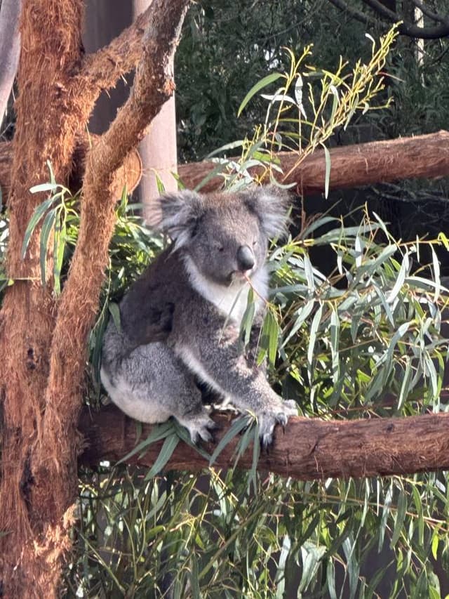 Photo 9 by Cindy O. (6/14/24)