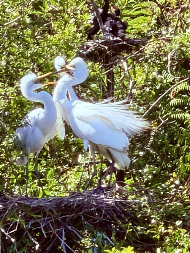 Photo 15 by Jacqueline R. (2/21/26)