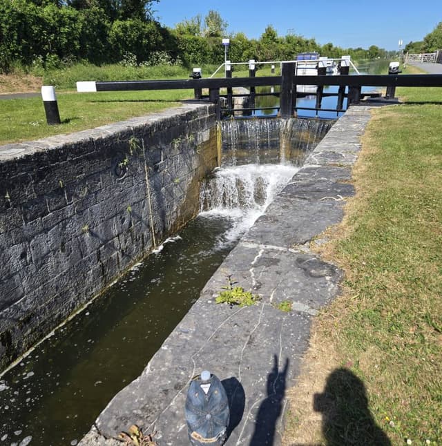 Photo 2 by Zafar K. about renting a Kia Picanto in Dublin (5/19/25)
