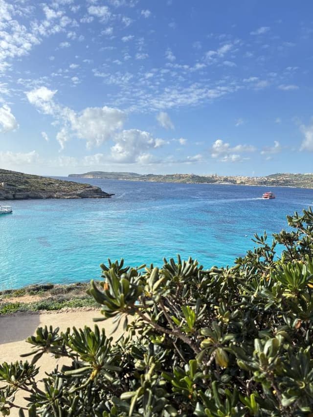 Zdjęcie 9 wykonane przez Marek W. (7.12.25)