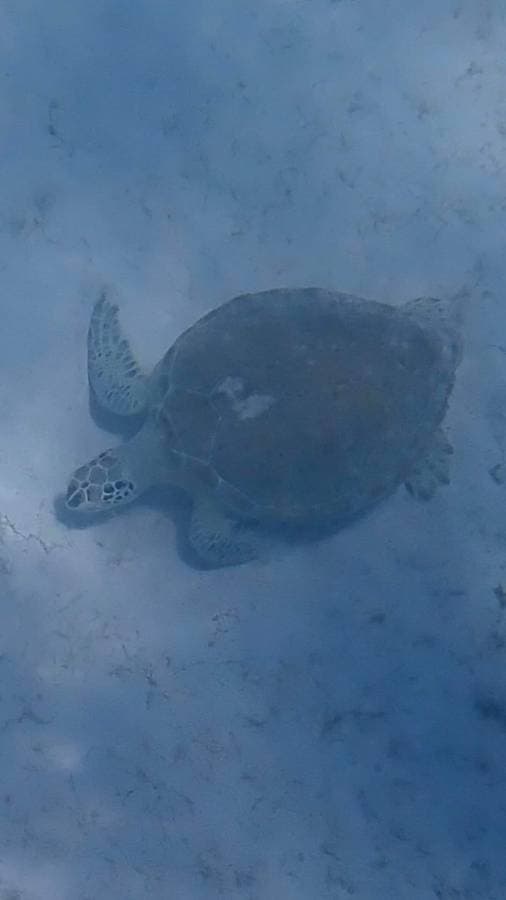 Photo 4 by Margaret B. about hiring a Suzuki Ertiga at Bridgetown Airport (29.03.23)