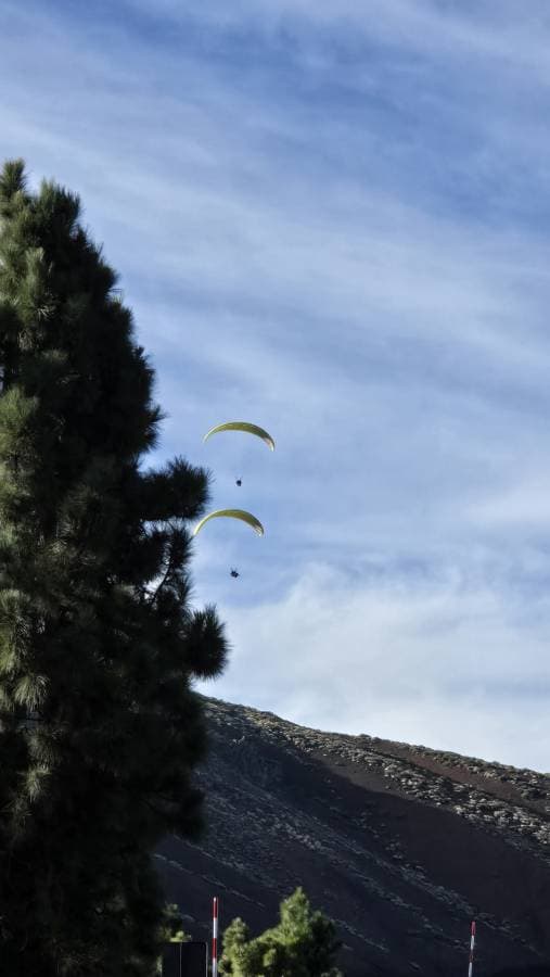 Fotografia 17 realizată de Cristina M. (06.12.25)