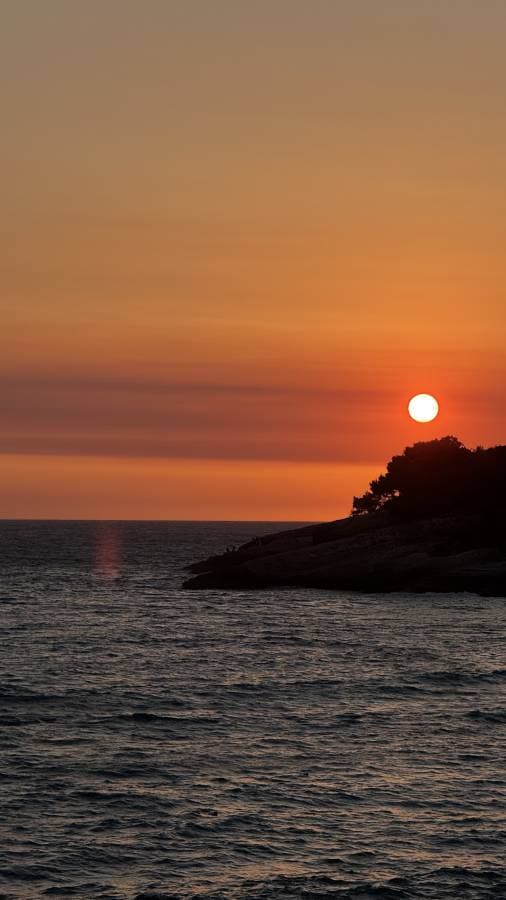 Photo by Omer C. (9/3/26)