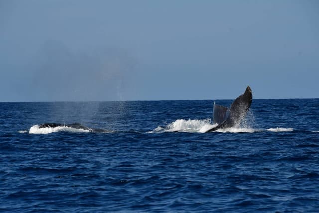 Photo 9 by Tina Dan W. (12/4/25)