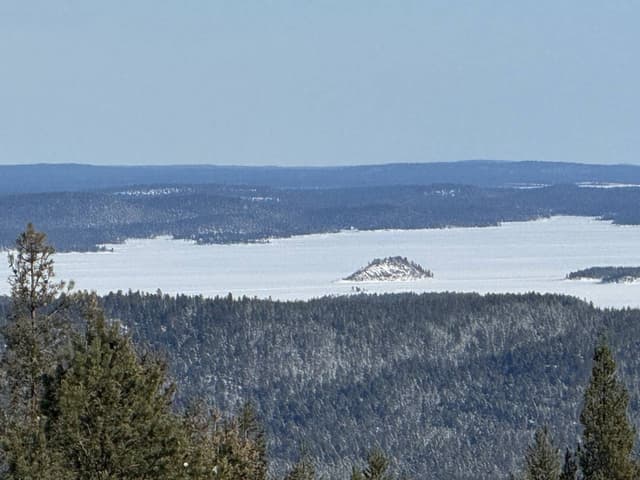 Henkilön torsten S. (19.3.24)