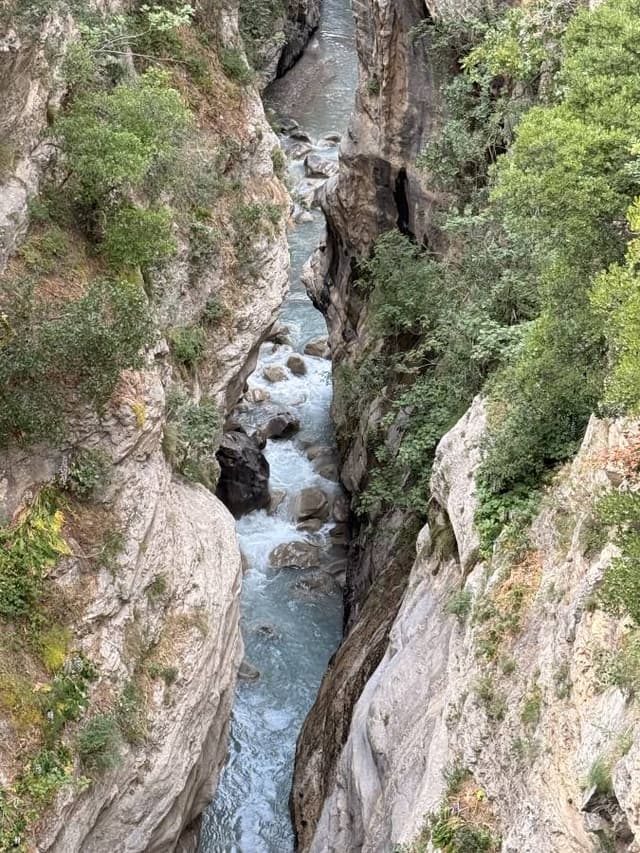 Photo 10 by Vladimir F. (5/26/26)