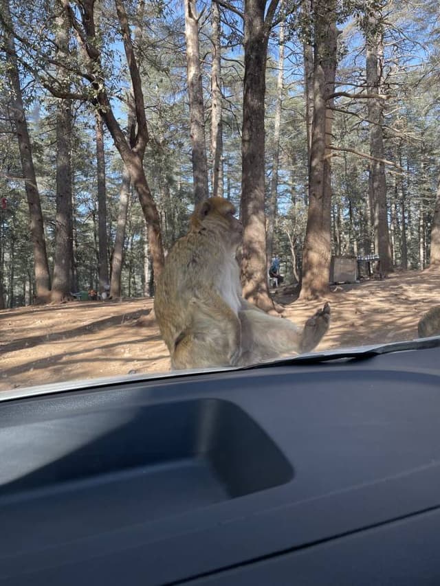 Foto av Nils Peter Veine S. (24-04-24)