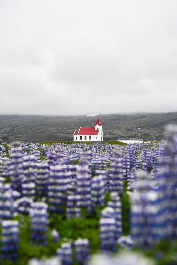 Foto 10 od Adam V. o pronájmu Suzuki SX4 S-Cross na Islandu (6/26/25)