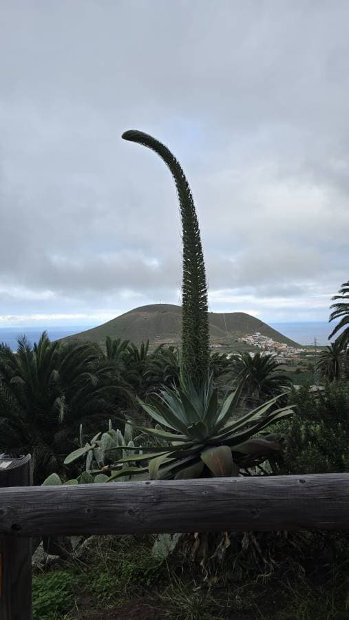 Fotografia 18 realizată de Cristina M. (06.12.25)