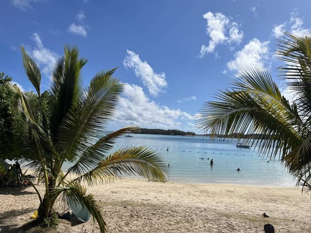 Billede 9 af Kenneth B. om at leje en Renault Kwid i Mauritius lufthavn (2/4/25)